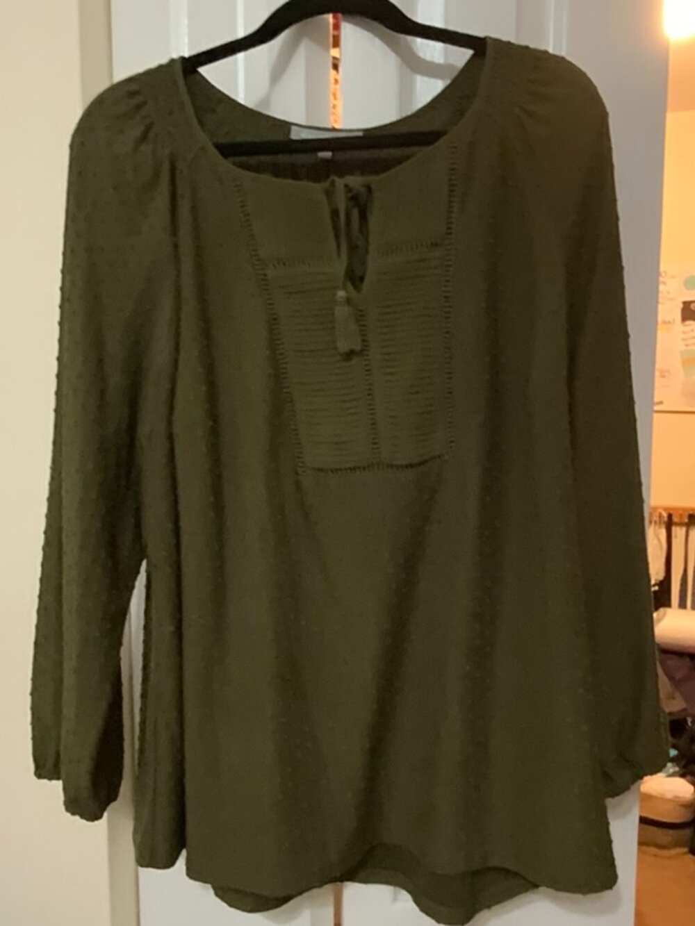 Daniel Rainn Olive Green Swiss Dot Tie Neck Tassel Blouse 2X